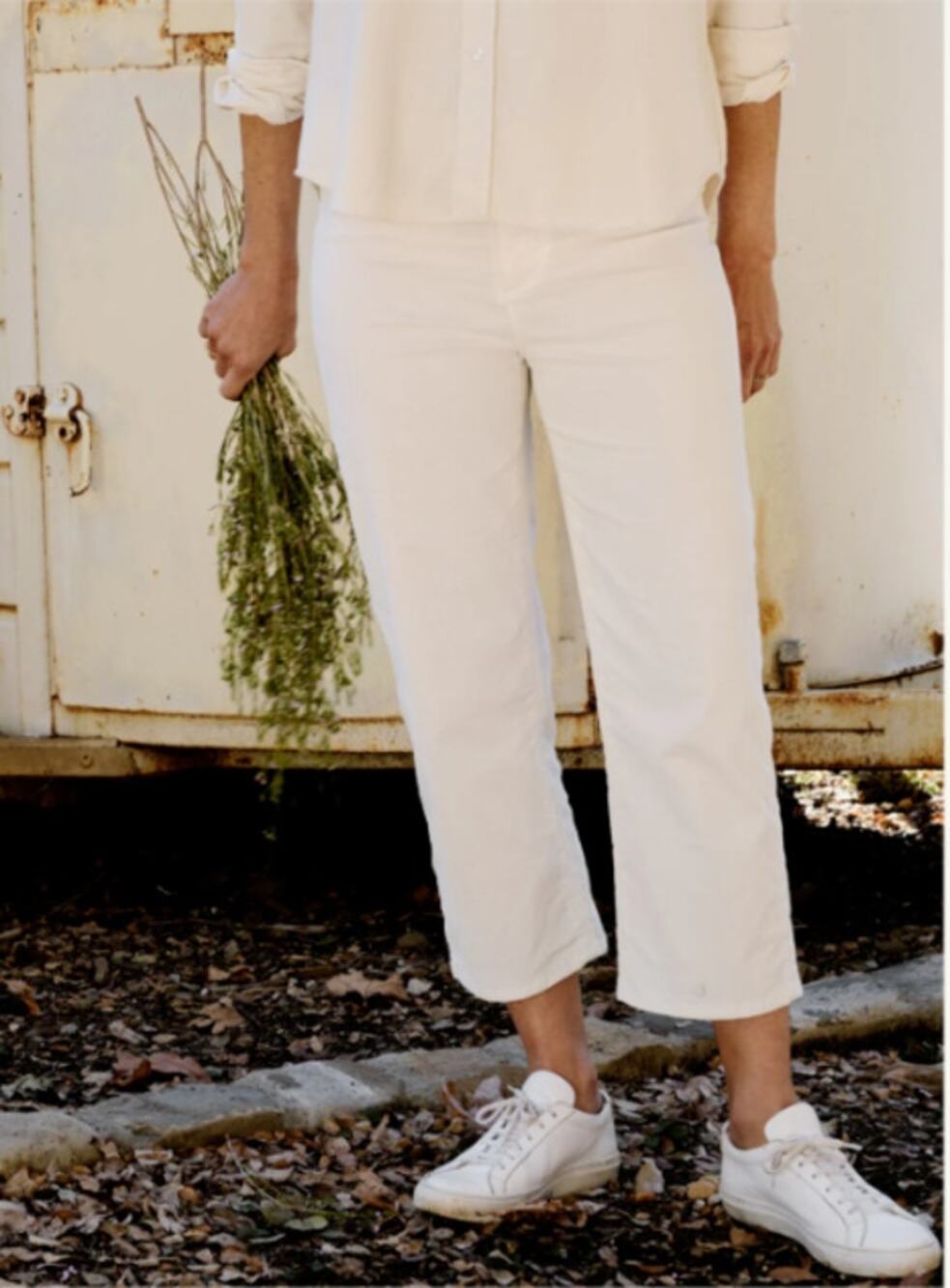 Frank & Eileen Kinsale Performance Cord Corduroy Pants Cropped White Size 4